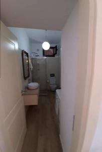 a hallway to a bathroom with a toilet and a mirror at Vogklis House in Qeparo +27 photos