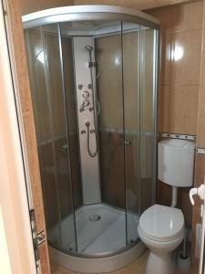 a shower stall in a bathroom with a toilet at Cazare Hofmann in Arad