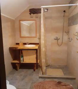 y baño con lavabo y ducha. en Cabana NEDA, en Rausor