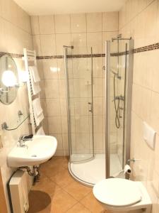 a bathroom with a shower and a toilet and a sink at Ferienwohnung Familie Tröger in Floh