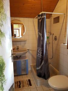 uma casa de banho com uma cortina de chuveiro e um lavatório em Entspannungsurlaub mit Hund em Aufʼm Bühl