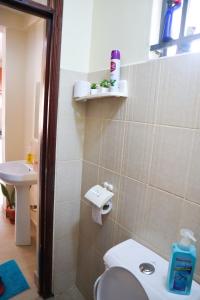a bathroom with a toilet and a sink at Tom Mboya Estate - Fast WI-FI, Netflix and Parking 1Br Apartment in Kisumu Town in Kisumu