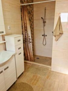 ein Bad mit einer Dusche und einem Waschbecken in der Unterkunft CityS in Apatin