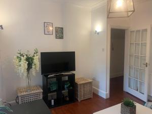 a living room with a flat screen tv on a stand at Unique 2 bedroom apartment in London/ Excel / Olympic city close to central line tube station with gated parking space in London