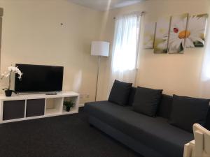 Μια τηλεόραση ή/και κέντρο ψυχαγωγίας στο Central studio in quiet area in Newbury, self check-in +2 φωτογραφίες