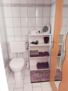 mała łazienka z toaletą i umywalką w obiekcie Appartment am Egghof w mieście Oberperfuss