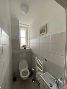 プラハにあるApartman Xaveriovaのトイレと洗面台を備えた白いバスルーム +7枚の写真