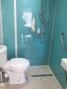 a bathroom with a toilet and a shower at The Barn in South Hayling