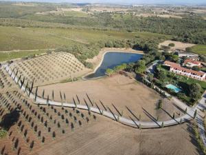 an aerial view of a vineyard with a pool of water at I Puntoni Agriturismo in Magliano in Toscana
