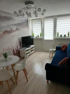 salon z niebieską kanapą i telewizorem w obiekcie Apartament w Polanicy w Polanicy Zdroju