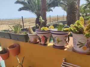 Fotografia z galérie ubytovania Marenazul v destinácii Corralejo