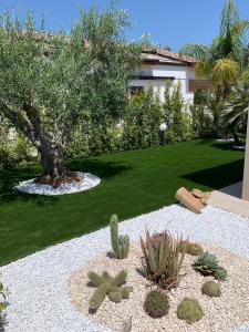 Κήπος έξω από το Villa Agamennone +14 φωτογραφίες