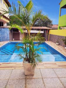 een palmboom in een pot naast een zwembad bij Guest House Renascer K&W in Cabo Frio