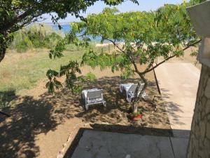Zahrada ubytování Holiday home Marija i Lucija