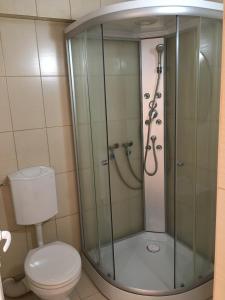 a glass shower in a bathroom with a toilet at Cazare Hofmann in Arad