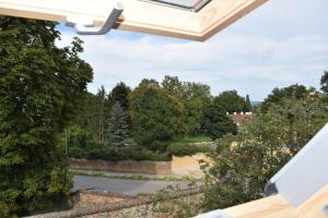 a view from a window of a garden at Puszedli in Tata