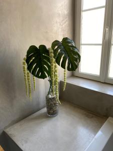 Afbeelding uit fotogalerij van Le Logis GOUT in Carcassonne +73 foto's