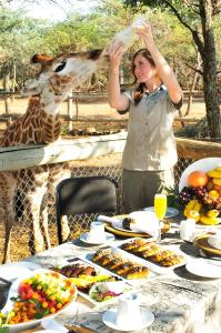 ベラ・ベラにあるSondela Nature Reserve & Spa Moselesele Tentsの食卓でキリンを食べている女