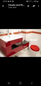 baño con lavabo rojo y blanco y aseo en Hotel Mont Blanc, en Predeal