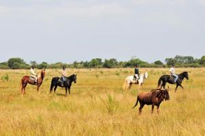Sondela Nature Reserve & Spa Makhato Lodges في بيلا بيلا: مجموعة من الناس يركبون الخيول في الميدان