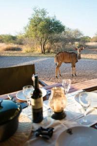 a table with a bottle of wine and a zebra on the road at Sondela Nature Reserve & Spa Makhato Lodges in Bela-Bela