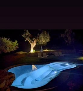 a night shot of a swimming pool with a tree in the background at Carlo's Hotel in Castagneto Carducci