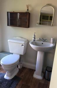 a bathroom with a toilet and a sink at Pretty self-contained garden room in Sheringham