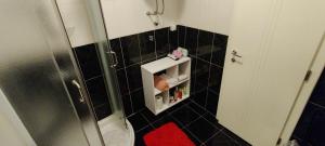 La petite salle de bains est pourvue d'une douche et de carrelage noir. dans l'établissement Apartman Kata, à Vrnjačka Banja