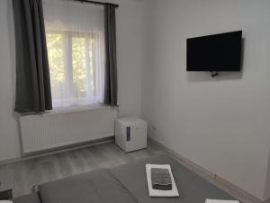 a living room with a tv and a couch at Pensiunea Teodora in Moisei
