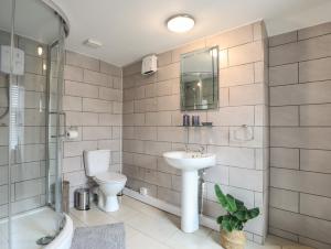 a bathroom with a sink and a toilet and a shower at Clydfan in Caernarfon +9 photos