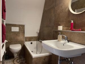 a bathroom with a sink and a toilet at Villa BlauwHemel Diever in Diever