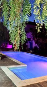 佩魯賈的住宿－B&B Il Sognatore，蓝色的游泳池,后面有树