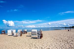 una fila de sillas sentadas en una playa en Ferienwohnung Alte Feuerwehr, en Ueckermünde