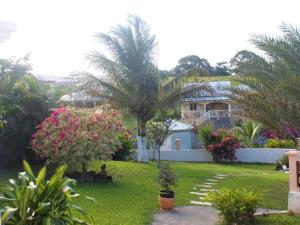 un patio con palmeras y flores y una casa en Maison de 4 chambres avec vue sur la mer jacuzzi et jardin clos a Sainte Rose a 5 km de la plage, en Sainte-Rose