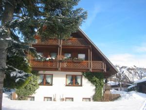 a house with a wooden roof in the snow at Ferienhaus im Park in Hinterzarten