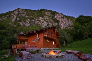 a log cabin with a fire pit in front of it at Pensiunea Huda lui Papară in Sălciua de Jos