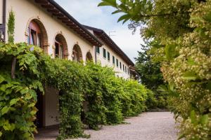 Un bâtiment avec un tas de vignes qui y poussent dans l'établissement Agriturismo L'Acero Rosso, à Sacile