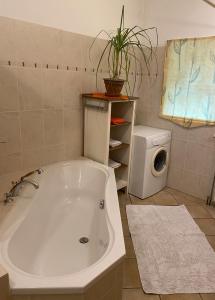 ein Badezimmer mit einer Badewanne und einer Waschmaschine in der Unterkunft Haus Grüne Idylle in Bannewitz