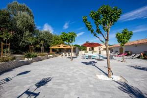 un arbre au milieu d'un patio dans l'établissement Les Prairies de l'Encrême, à Céreste