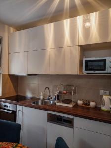 eine Küche mit einer Spüle und einer Mikrowelle in der Unterkunft Flat Kosutnjak 9 in Belgrad