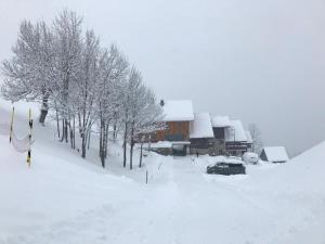 Chalet Lucie LE CHEVAL NOIR v zimě