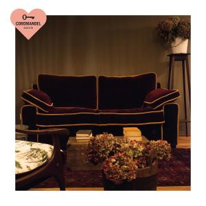 un sofá negro en una sala de estar con plantas en Maison Coromandel, en Aymavilles