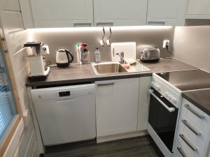 una cocina con fregadero y encimera en Adeli Holiday Cottage Ellivuori, en Sastamala 25 fotos más