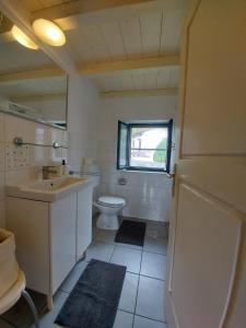 a bathroom with a sink and a toilet and a window at Apartmaji Hedera in Komen