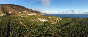 Gallery image of Hotel El Patio in Garachico