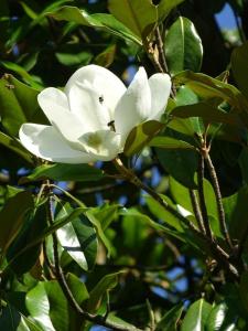 Fotografie z fotogalerie ubytování Hotel Astra v destinaci Sandanski