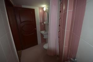 ウルギュップにあるProkopi Hotelのバスルーム(トイレ、シャワーカーテン付)