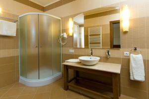 a bathroom with a sink and a shower at Pension Palazzo in Sibiu