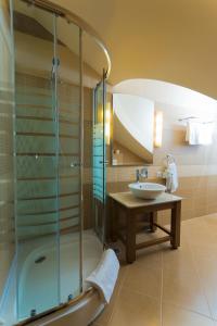 uma casa de banho com um lavatório e um chuveiro em Pension Palazzo em Sibiu