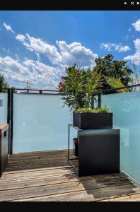 uma varanda com dois vasos de plantas em cima em Zimmer - Modernes Apartment mit 45 qm. em Straubing